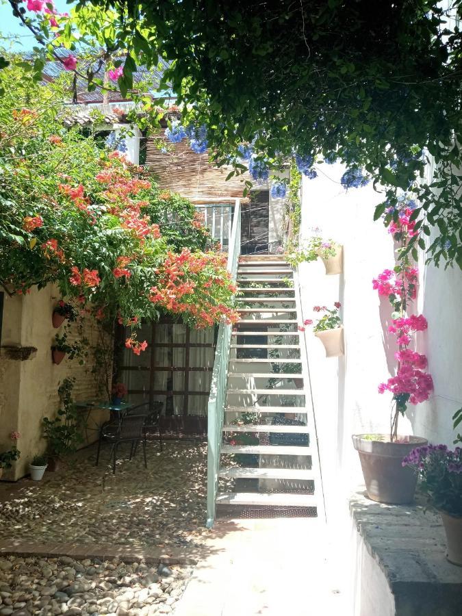 Apartmán Patio Del Limonero Córdoba Exteriér fotografie