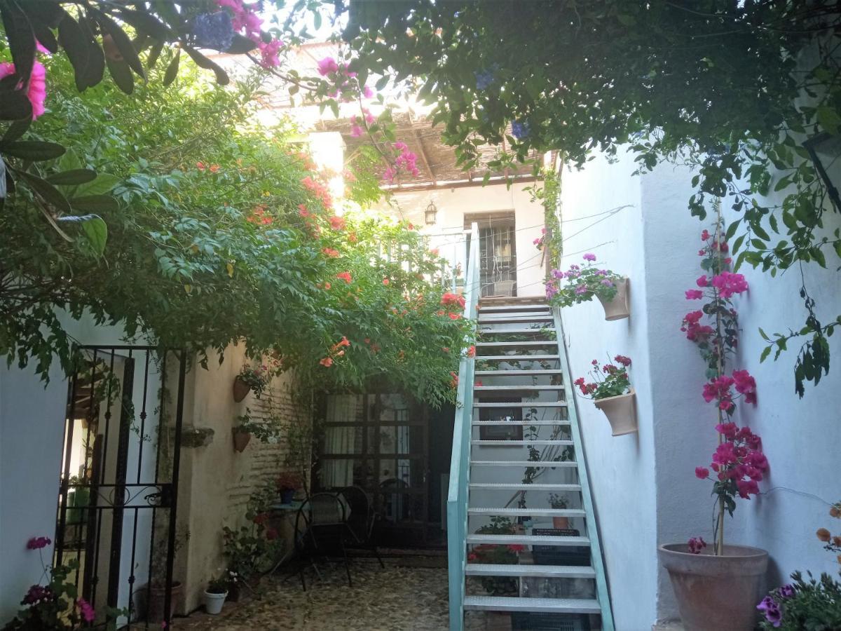 Apartmán Patio Del Limonero Córdoba Exteriér fotografie