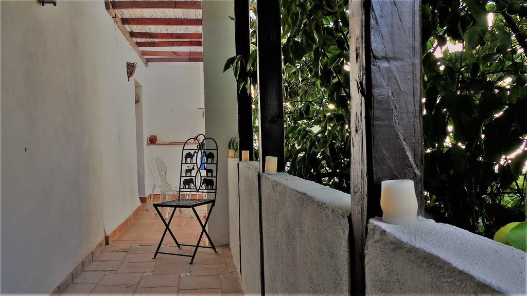 Apartmán Patio Del Limonero Córdoba Exteriér fotografie