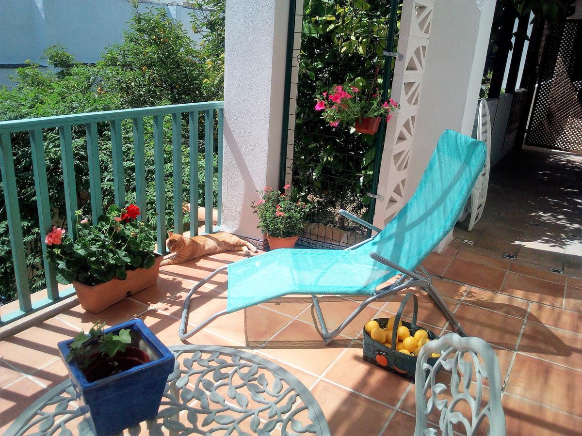 Apartmán Patio Del Limonero Córdoba Exteriér fotografie